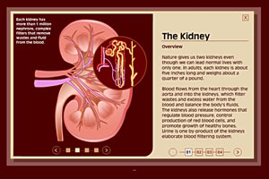 The Interactive Body